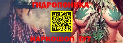 крисы Краснознаменск