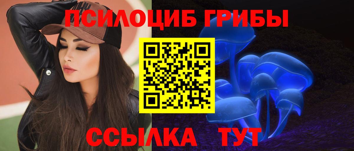 Псилоцибиновые грибы Psilocybine cubensis  Вход с VPN  Донской 